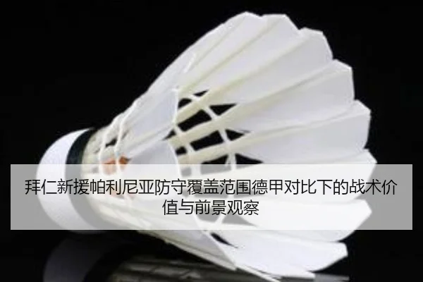 拜仁新援帕利尼亚防守覆盖范围德甲对比下的战术价值与前景观察